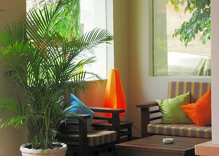 Jardin Des Thes Phan Thiết