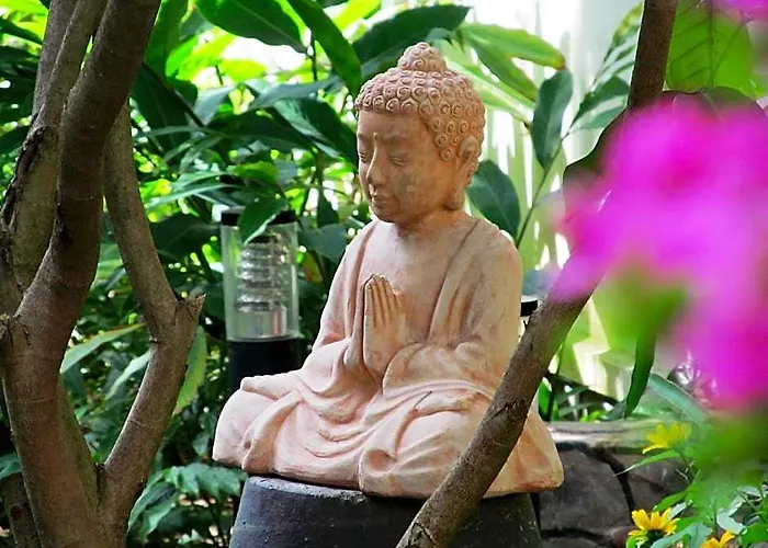 Jardin Des Thes Phan Thiết