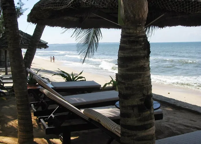 Jardin Des Thes